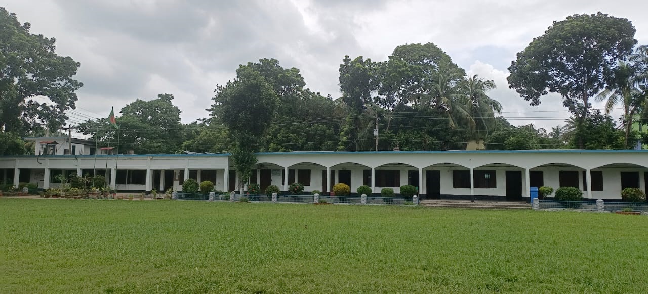 নাটক পরিবেশনা